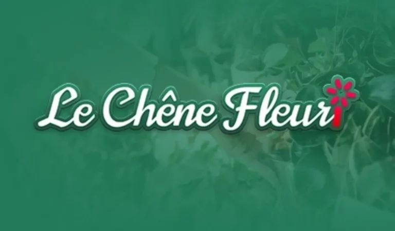 miniature le chene fleuri